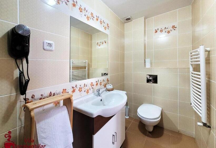 스탠다드 발코니 룸, Vila Dorobantilor