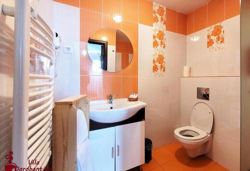 스탠다드 룸, Vila Dorobantilor