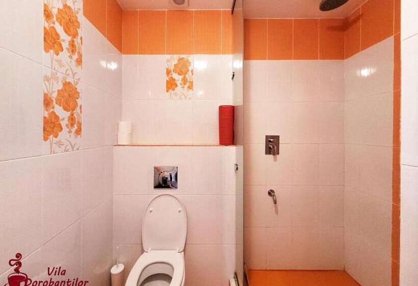 스탠다드 룸, Vila Dorobantilor