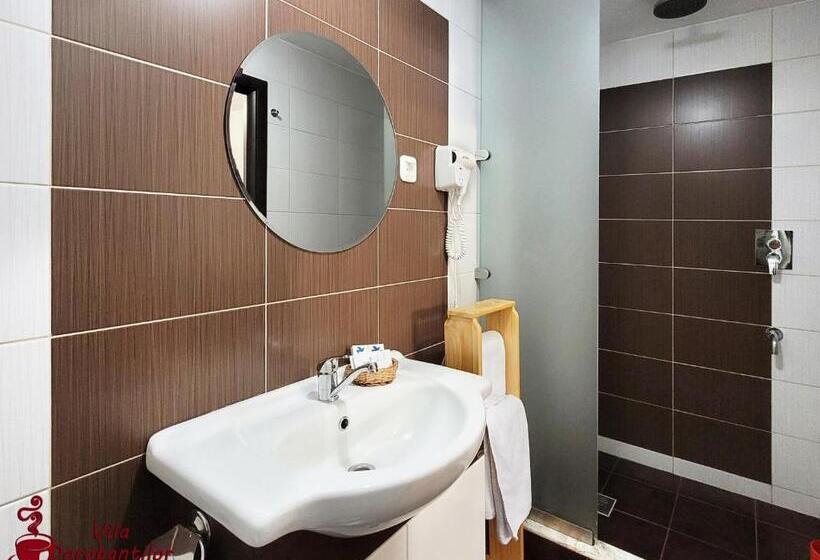 스탠다드 룸, Vila Dorobantilor