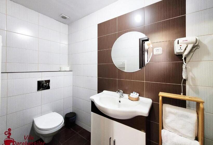 스탠다드 룸, Vila Dorobantilor