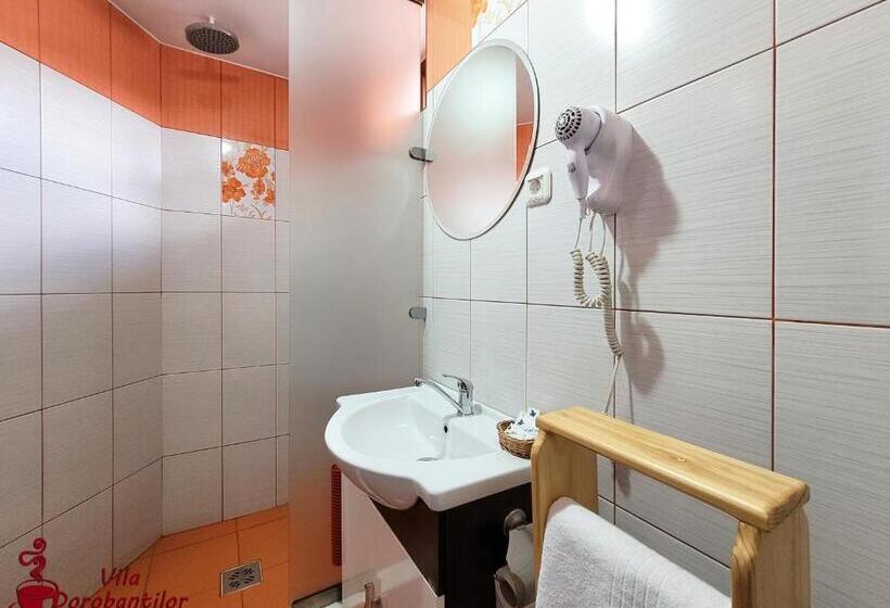 발코니 스탠다드 싱글 룸, Vila Dorobantilor