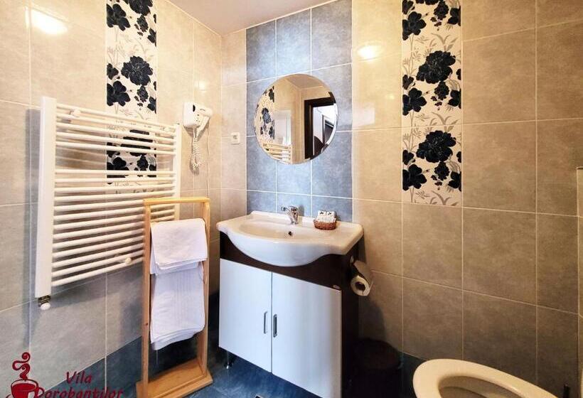 스탠다드 발코니 룸, Vila Dorobantilor