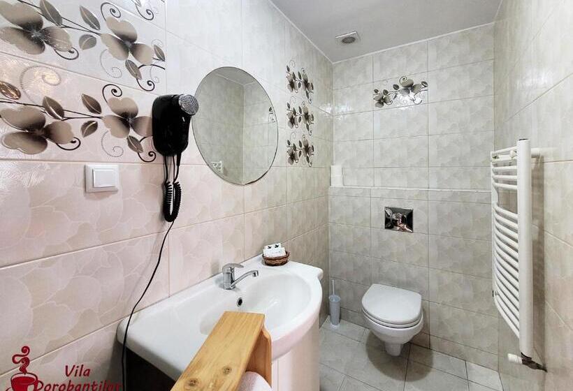 스탠다드 발코니 룸, Vila Dorobantilor