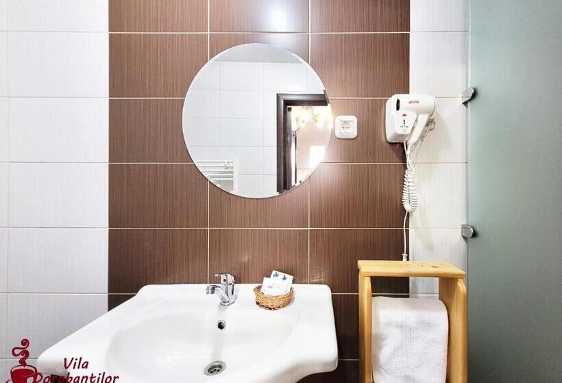 스탠다드 룸, Vila Dorobantilor