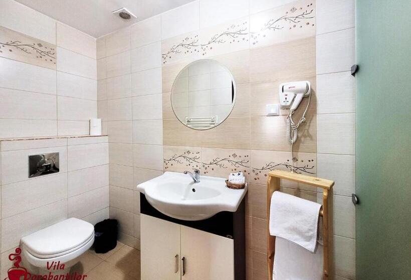 스탠다드 룸, Vila Dorobantilor