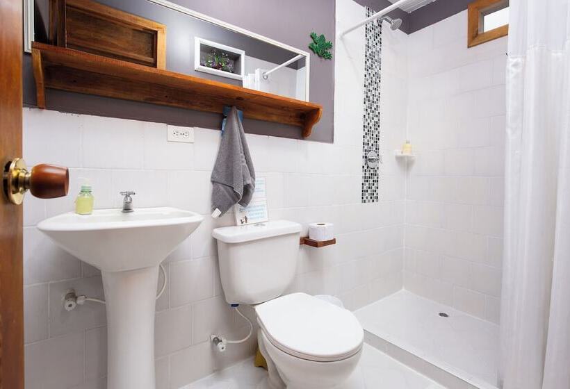 Standard-huone, Intiluna Hostel