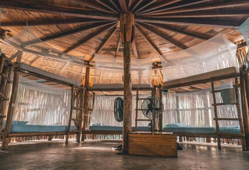 Кровать в Многоместном Номере с Общей Ванной, Los Hermanos Beach Hostal