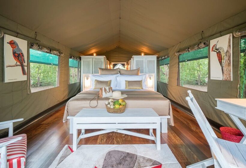 اتاق لوکس, Flameback Eco Lodge