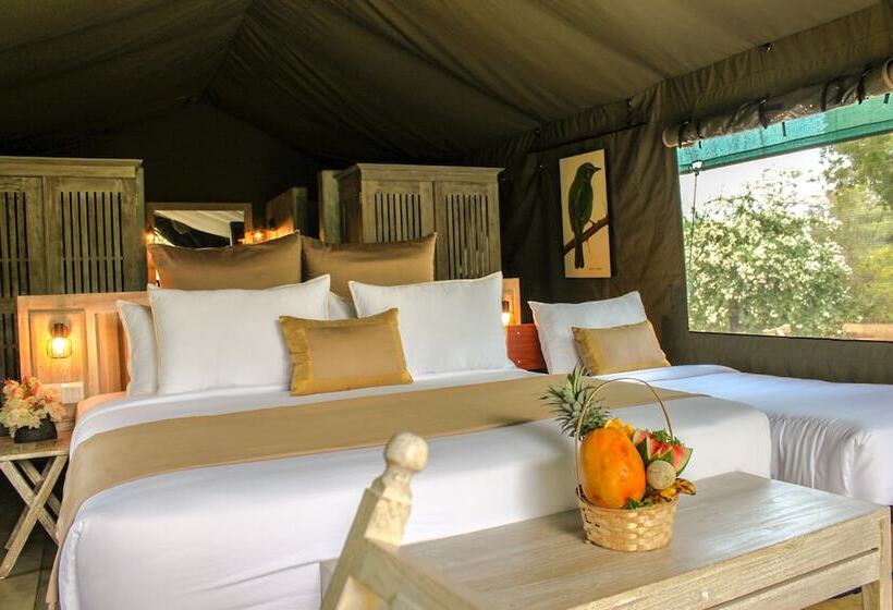 اتاق لوکس سه تخته, Flameback Eco Lodge