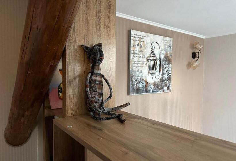 سوییت دوبلکس, Centralnyi