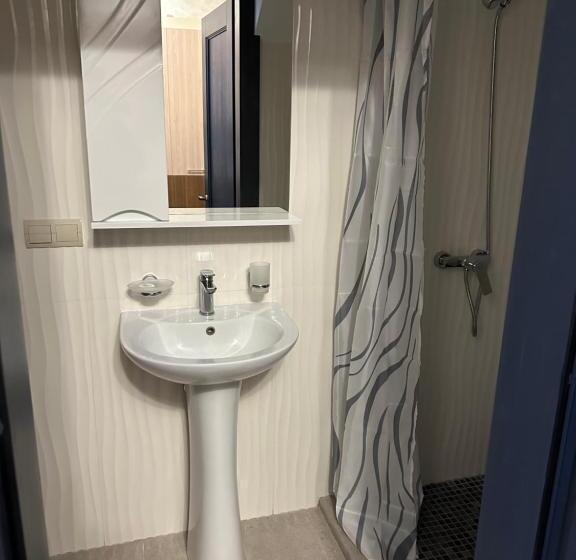 اتاق لوکس سه تخته, Centralnyi