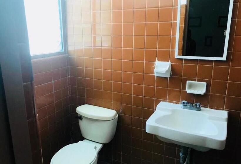 Номер Стандарт, El Kiosco