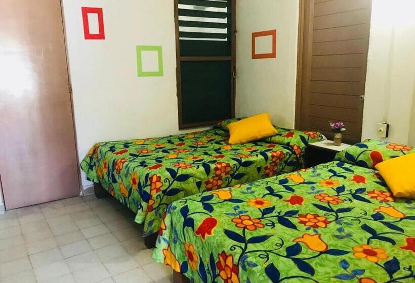 Номер Стандарт, El Kiosco