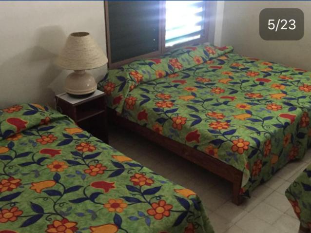 Студия Стандарт, El Kiosco