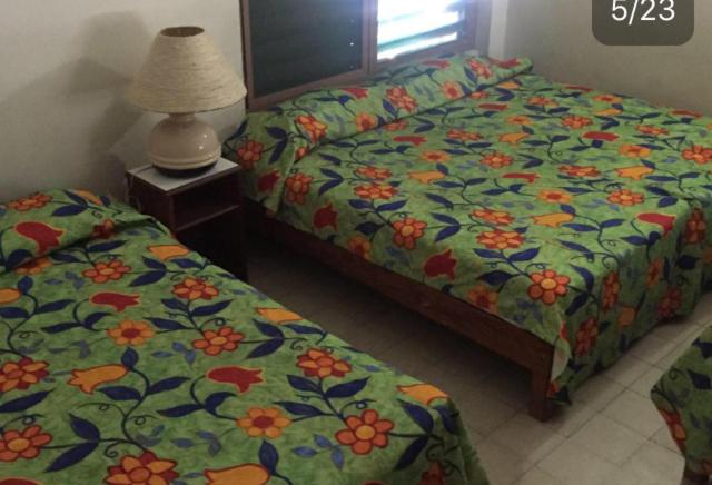 Семейное Студио, El Kiosco