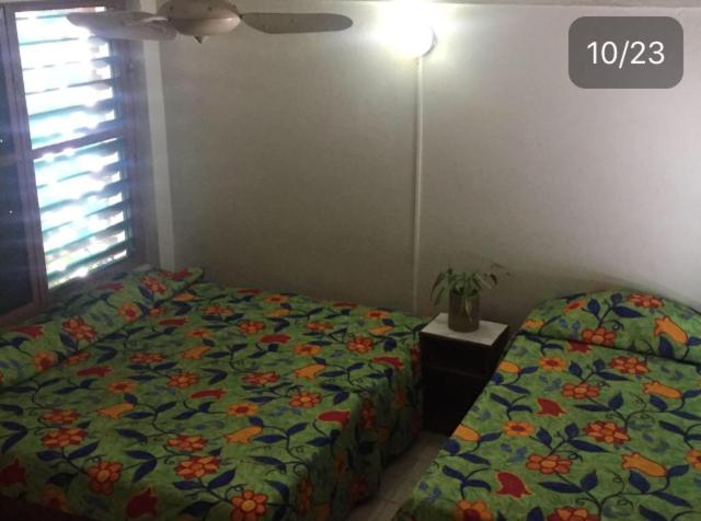 Семейное Студио, El Kiosco