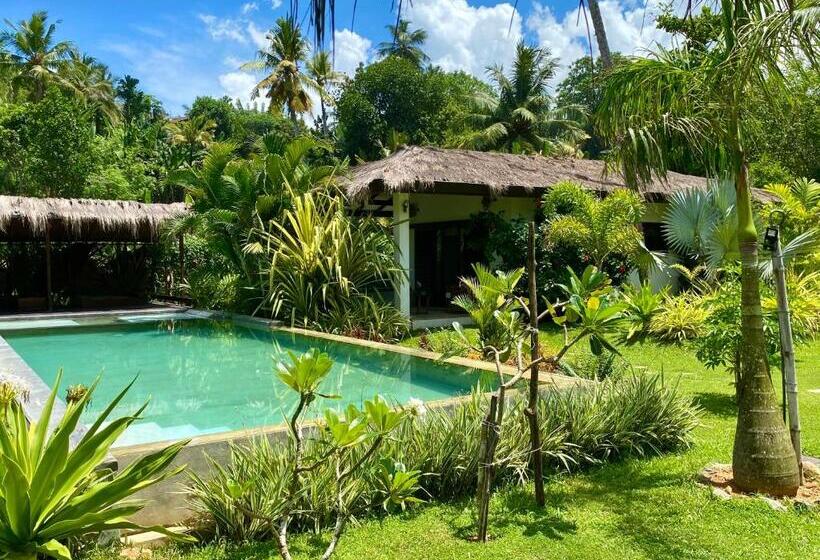 四人豪华间, Vanina Villas