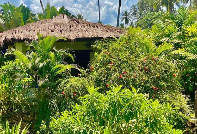 四人豪华间, Vanina Villas