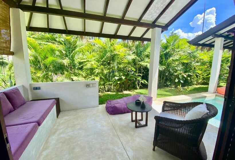 带泳池的标准三人间, Vanina Villas