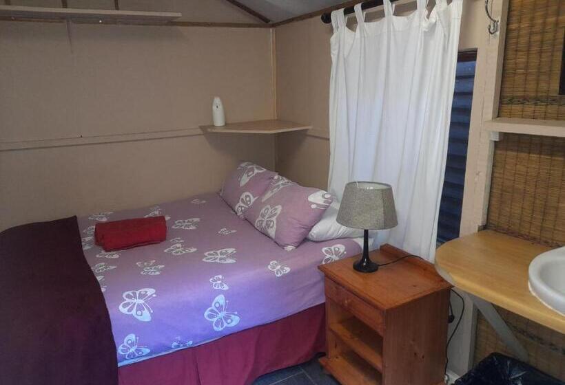 اتاق اکونومی, 1322 Backpackers International