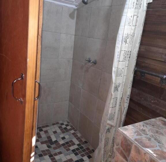 اتاق استاندارد, 1322 Backpackers International