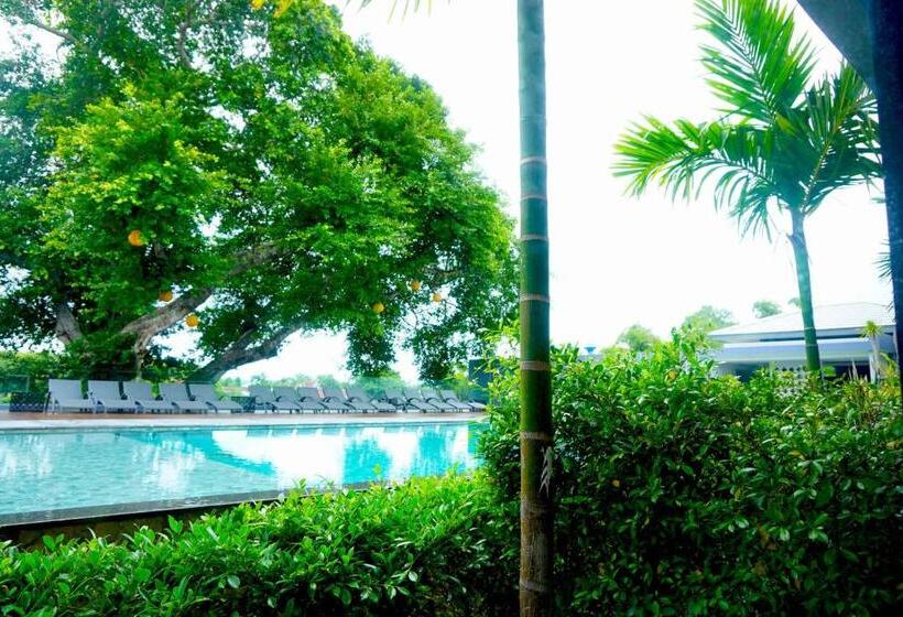 Номер Deluxe Вид на Бассейн, The Lake Chalong Hotel Sha Plus