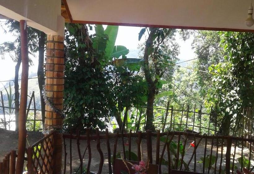 이코노미 룸, Malithis Lodge