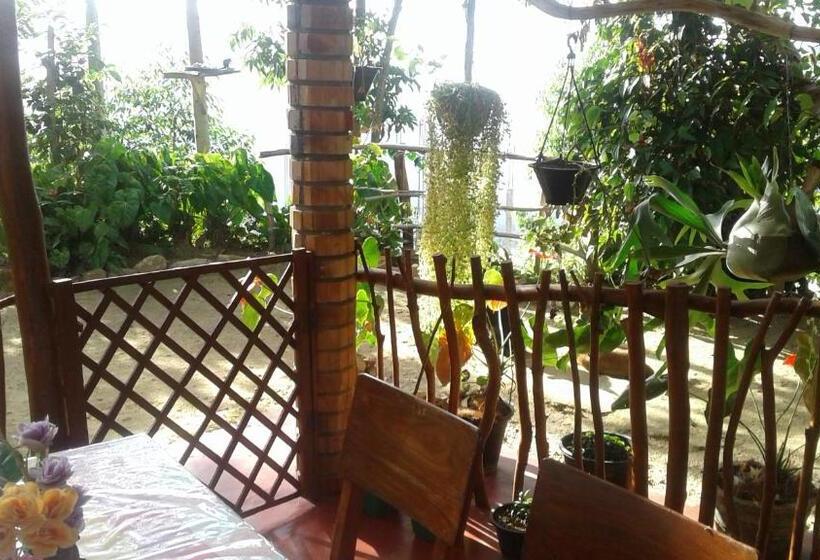 이코노미 룸, Malithis Lodge