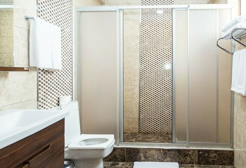 اتاق استاندارد, Ah Hotel And Conference