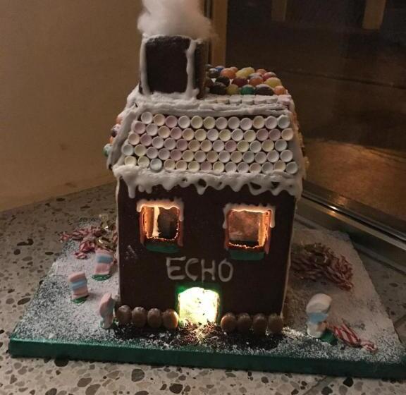 דירת חדר, Echo