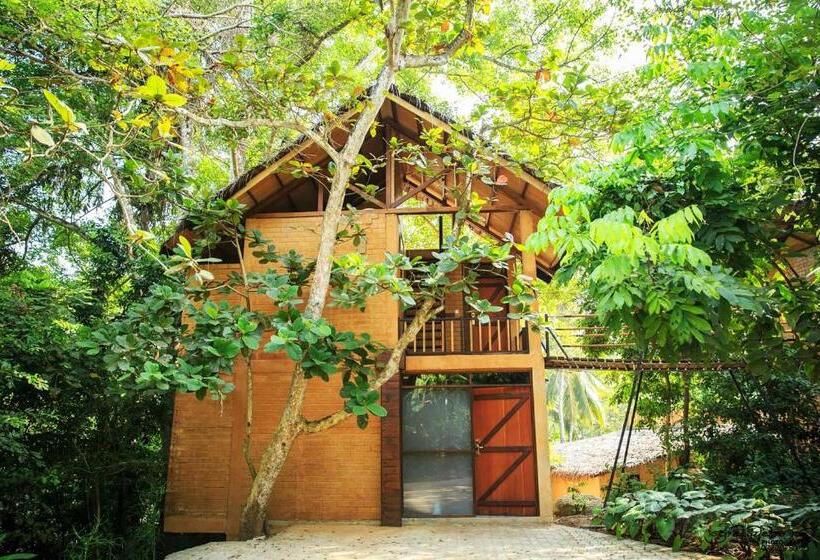 1 베드룸 수피리어 스위트, Jungle Village