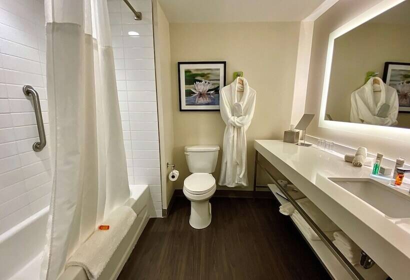 Suite, Radisson Kingswood Hotel & Suites, Fredericton