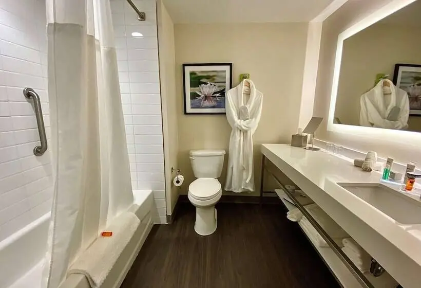 Sviitti, Radisson Kingswood Hotel & Suites, Fredericton