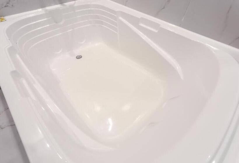 سوییت خانوادگی, Seomyeon Brown Dot Hotel Gold