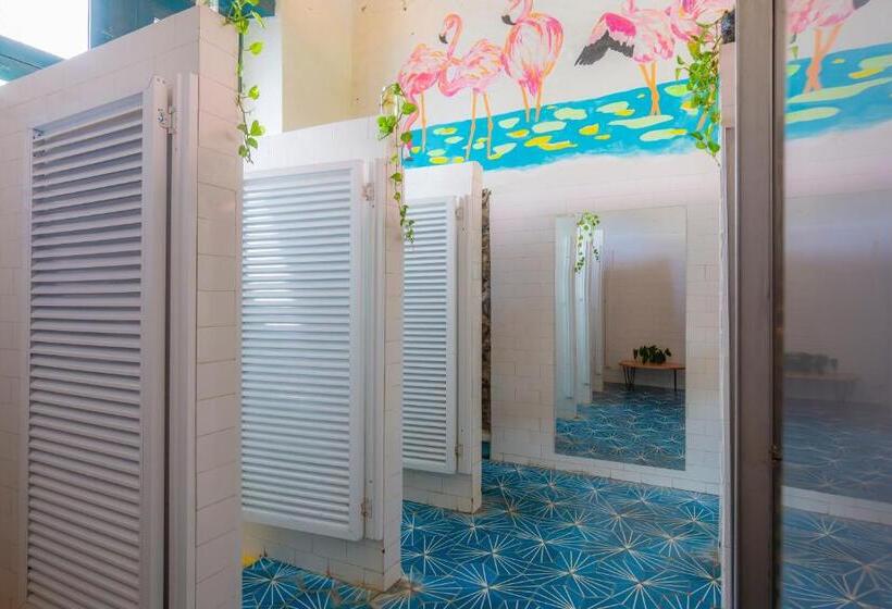 سرير فى غرفة مشتركه, República Hostel Santa Marta