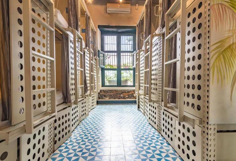 سرير فى غرفة مشتركه, República Hostel Santa Marta