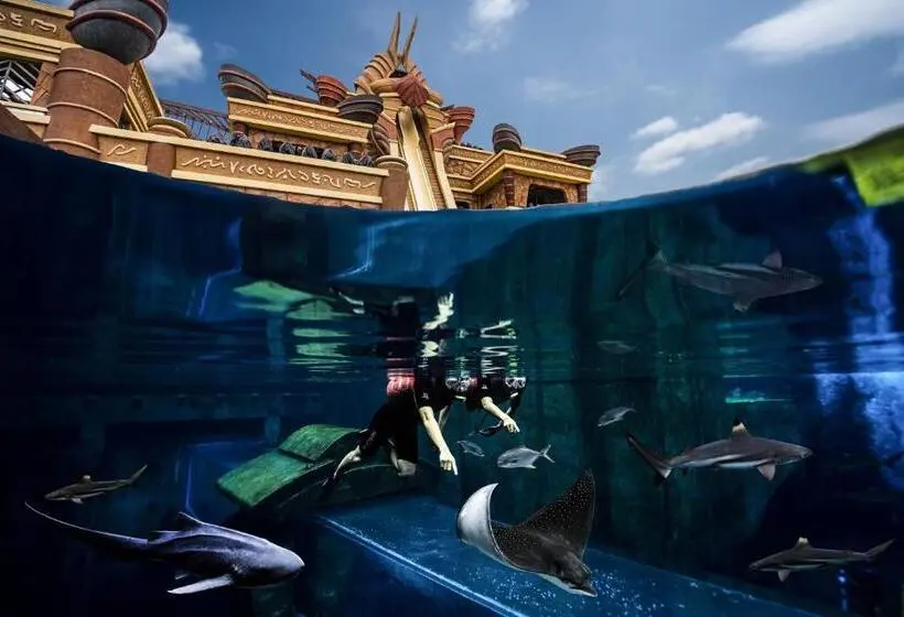 キングサイズベッドのスタンダードルーム, Atlantis Sanya
