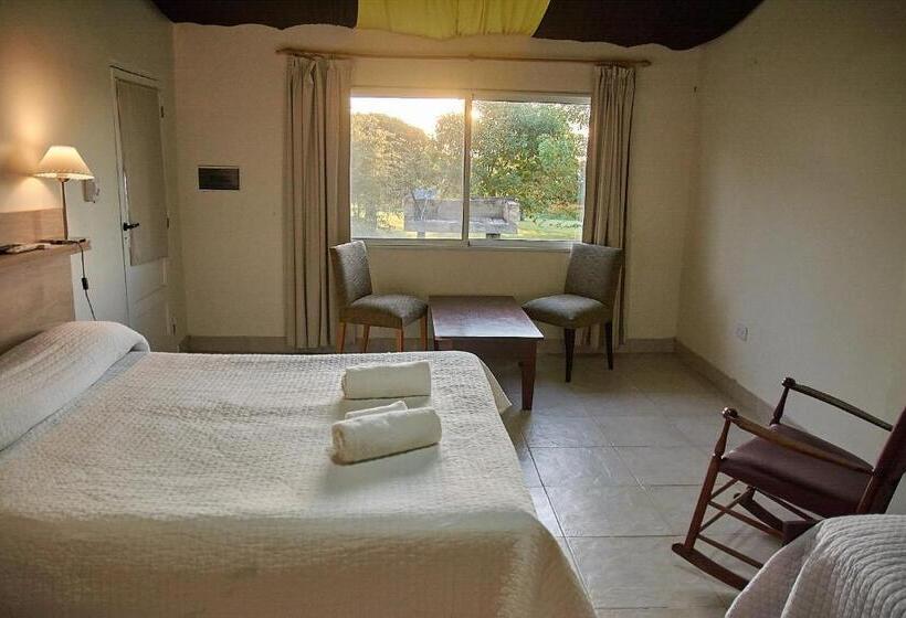 اتاق لوکس, Campo & Golf