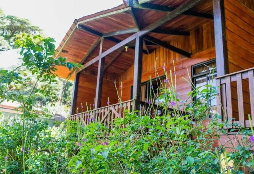 スタンダード４人部屋, Heliconias Rainforest Lodge