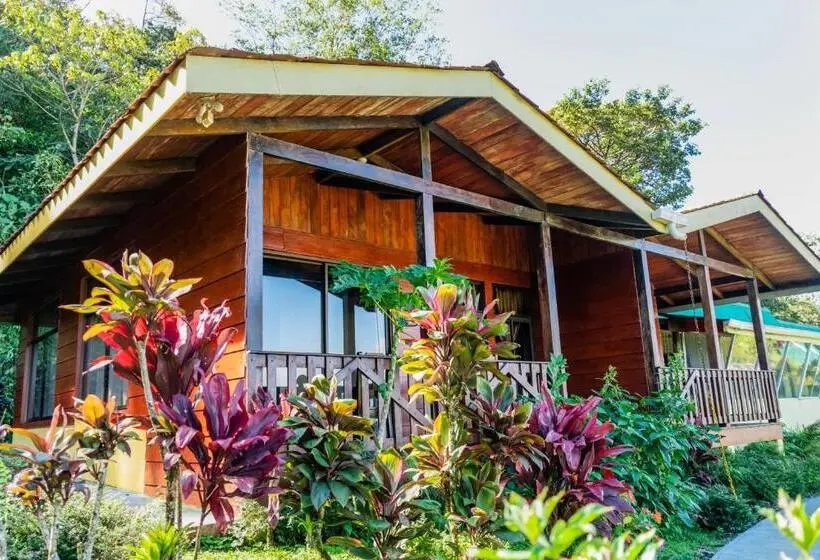 スーペリアの４人部屋, Heliconias Rainforest Lodge
