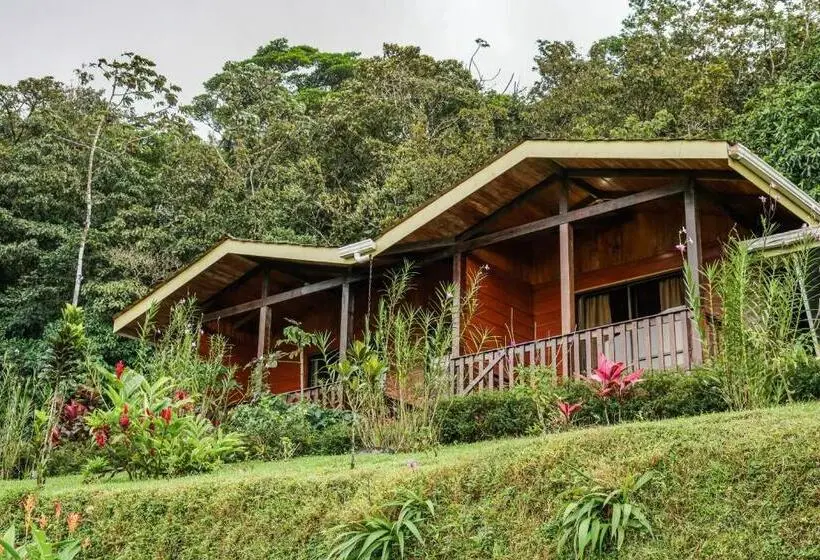 スーペリアの４人部屋, Heliconias Rainforest Lodge