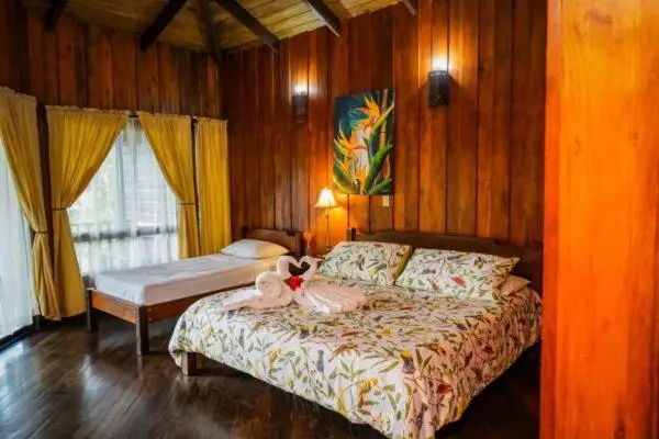 スタンダードバンガロー, Heliconias Rainforest Lodge