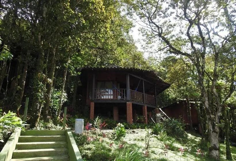スタンダードバンガロー, Heliconias Rainforest Lodge