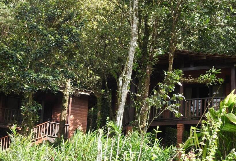 Bungalow Sandard, Heliconias Rainforest Lodge