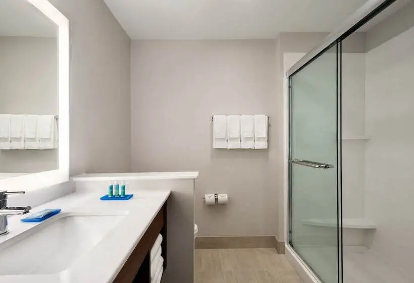 身障者適用スイートルーム, Holiday Inn Express & Suites   West Des Moines   Jordan Creek, An Ihg