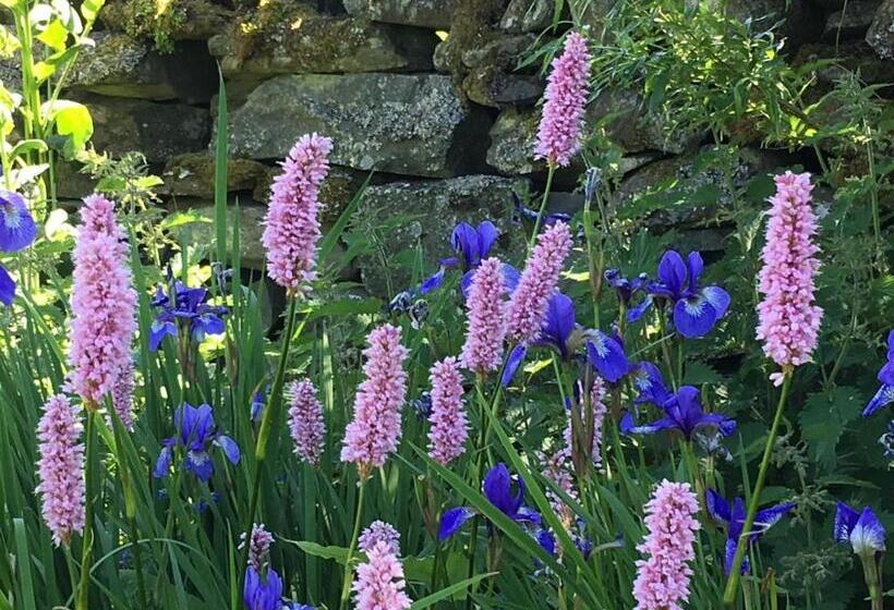 منزل غرفة نوم واحدة, Errichel House And Cottages