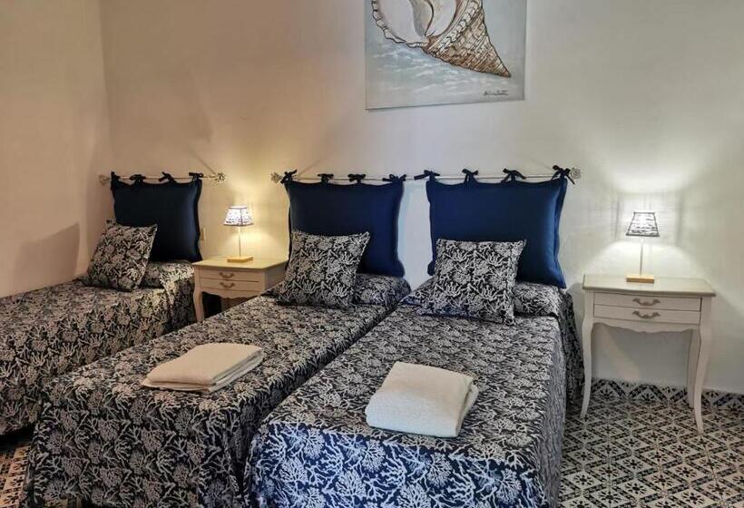 스탠다드 룸, Roda