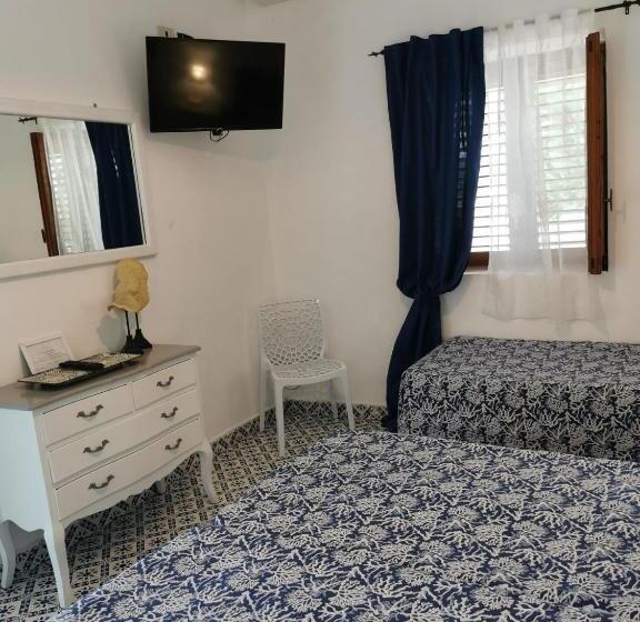 스탠다드 트리플 룸, Roda