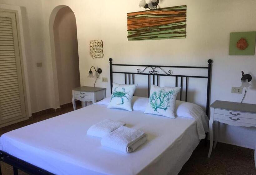 اتاق استاندارد سه نفره, Roda